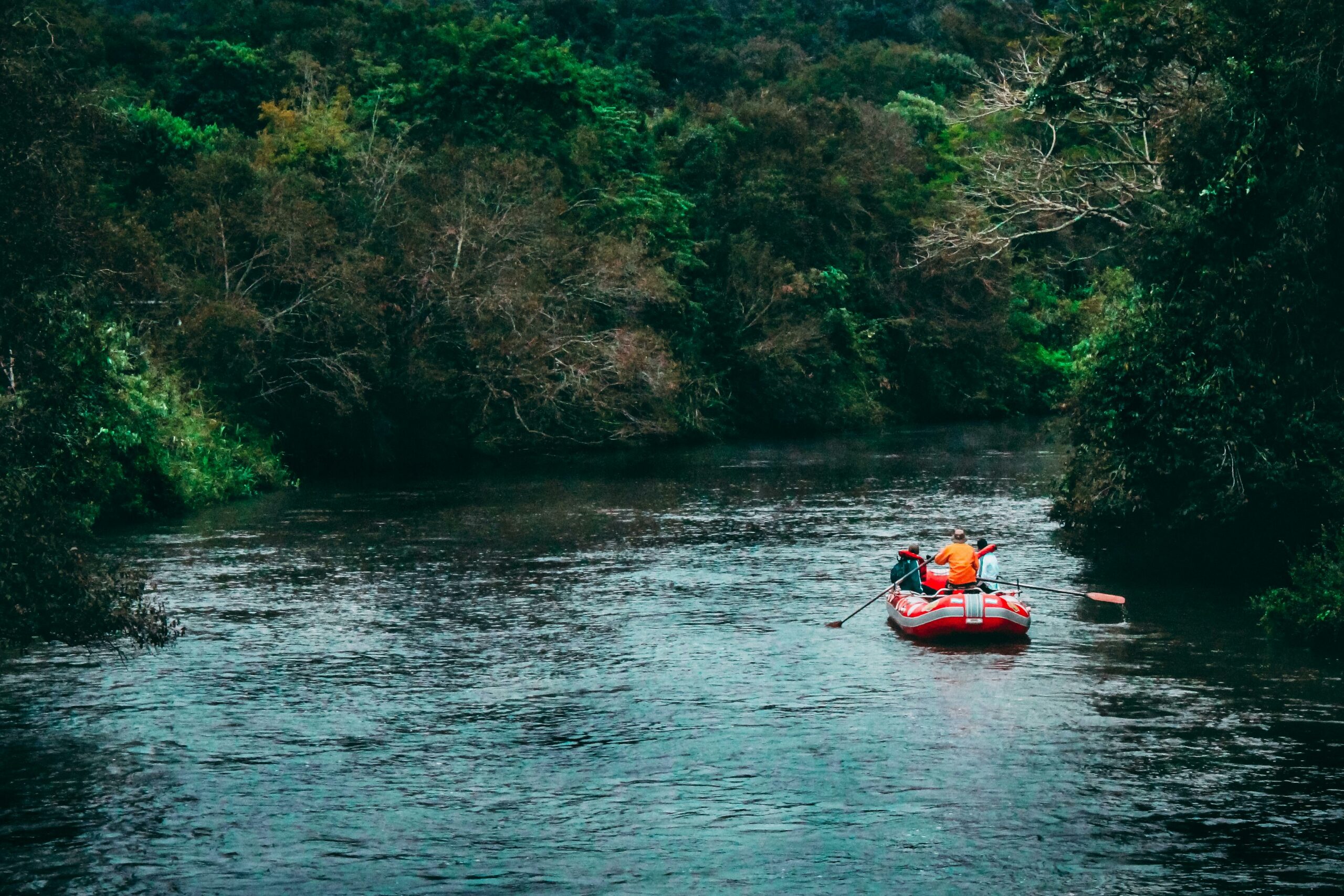 How to Lead a Research Lab: What whitewater rivers taught me about one key shift into leadership